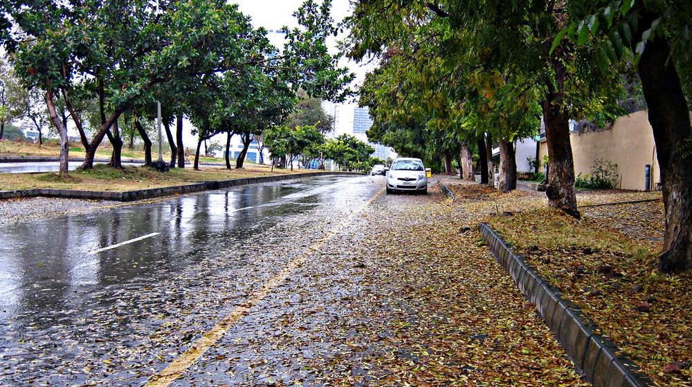 Monsoon Season Kicks Off with Rainfall in Islamabad and Other Regions