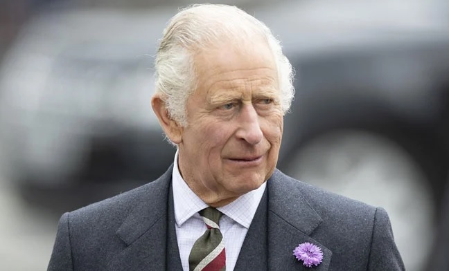 King Charles Honors Clooneys at Charity Event