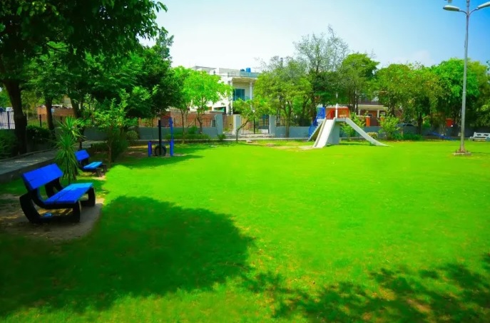 PHA Speeds Up Murree, Mall Road Beautification